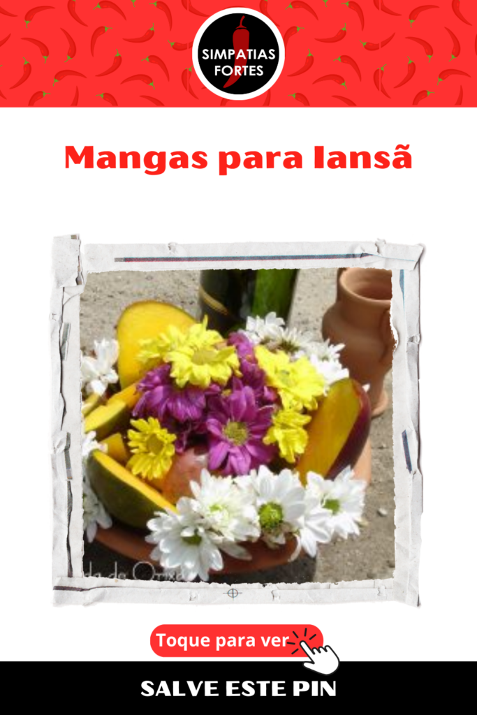 Ebo para Iansa - Mangas (2)