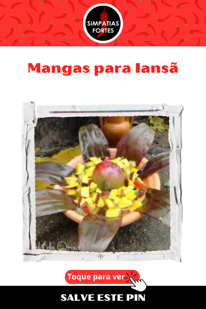 Ebo para Iansa - Mangas (3)