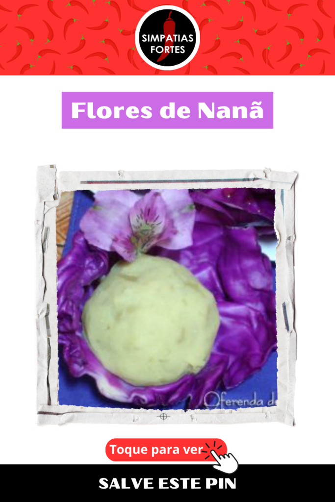 Ebo para Nana - Flores (2)