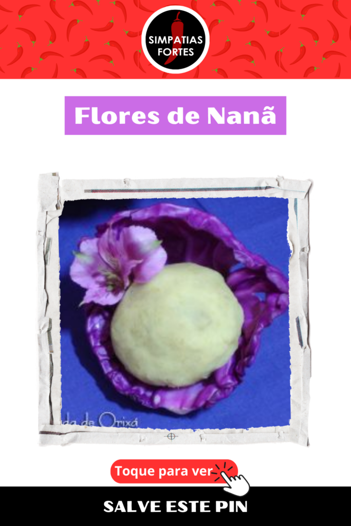 Ebo para Nana - Flores (3)