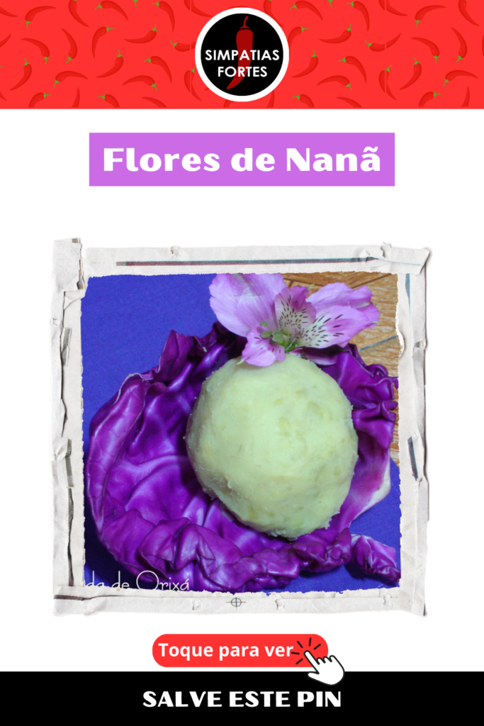 Ebo para Nana - Flores